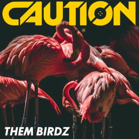 Them Birdz | Boomplay Music