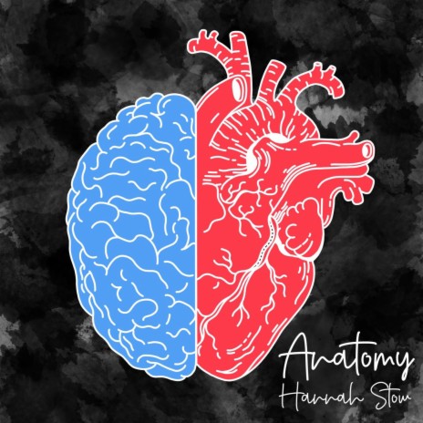 Anatomy | Boomplay Music