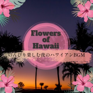 のんびり楽しむ夜のハワイアンBGM