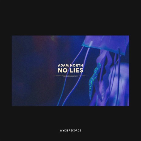 No Lies | Boomplay Music