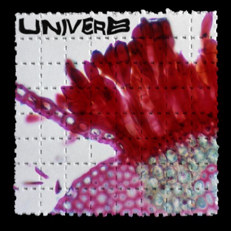 UNIVERB | Boomplay Music