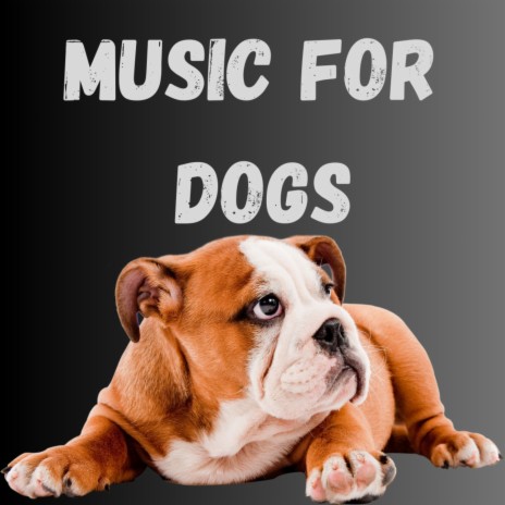 Serene Wonders ft. Music For Dogs Peace, Calm Pets Music Academy & Relaxing Puppy Music | Boomplay Music