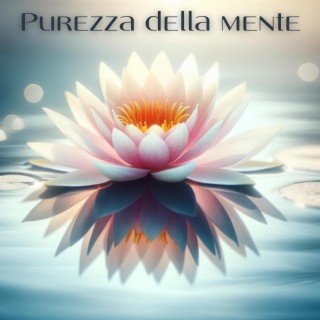 Purezza della mente: Meditazione trascendentale con i suoni dei ruscelli di montagna per la meditazione e la guarigione