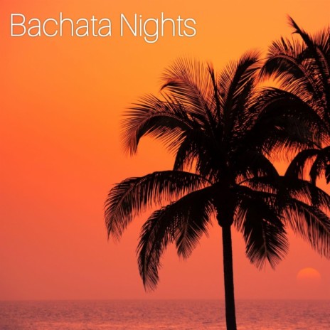 Bachata Nights | Boomplay Music