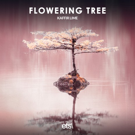 Flowering tree (8D Audio)