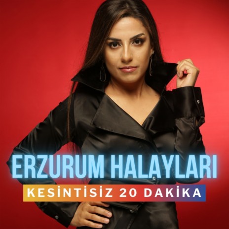 Hele Dadaş / Leyla leyla / Kavurma Koydum Tasa / Erzurumun Güzelleri / Sarı Pabuç / Kürdün Kızı / Ördeği İpek İnen Bağlamışlar / Kağızmana Ismarladım / Göleli Gelin / Hoppala Tello / Dideban Üstünde / Ezem Ezeden Oğ (Erzurum Halayları Kesintisiz 20 Dakika) | Boomplay Music