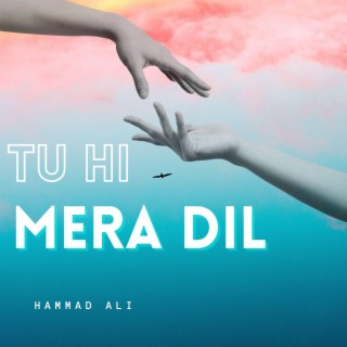 Tu Hi Mera Dil