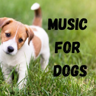 Music For Dogs (Vol.59)