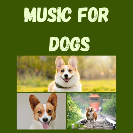 A Good Night Sleep ft. Music For Dogs, Calm Pets Music Academy & Relaxing Puppy Music | Boomplay Music