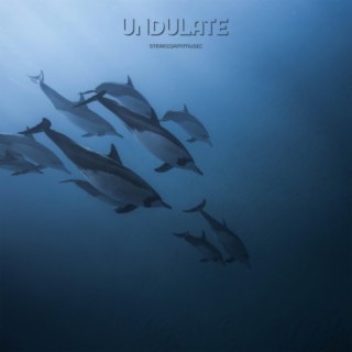 Undulate