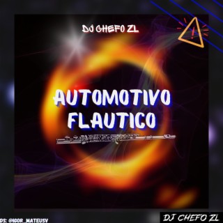 AUTOMOTIVO FLAUTICO