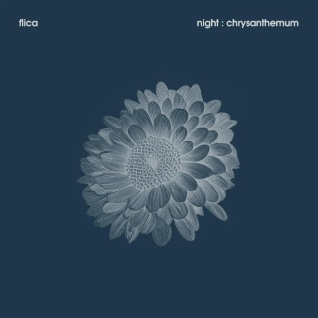 night : chrysanthemum | Boomplay Music