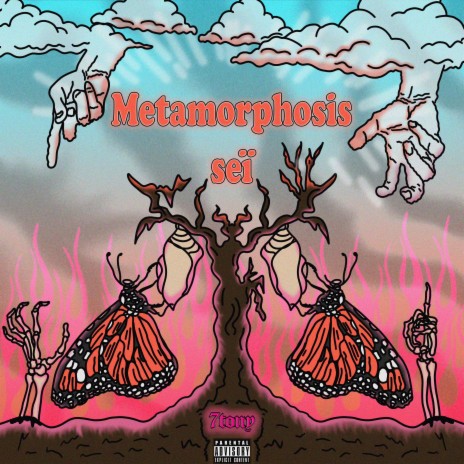 metamorphosis interlude