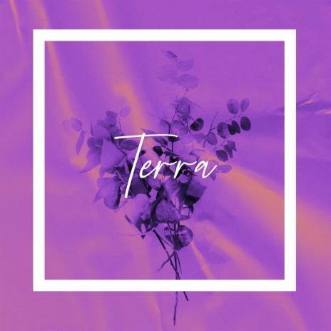 Terra ft. Linreng | Boomplay Music