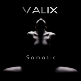 Somatic