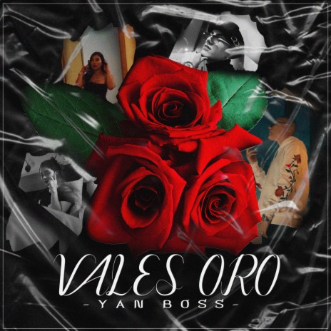 Vales Oro | Boomplay Music