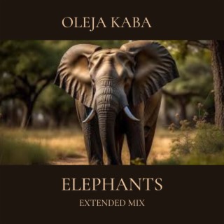 Elephants (Extended Mix)