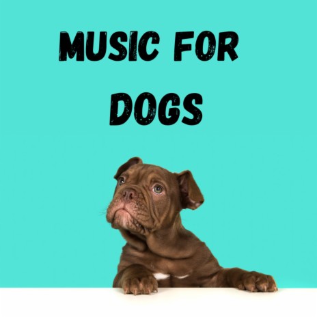 Resting Doggy ft. Music For Dogs Peace & Calm Pets Music Academy | Boomplay Music