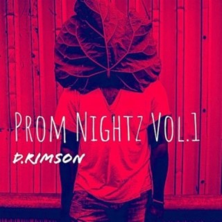 Prom Nightz, Vol. 1 (The Instrumental Tapes)