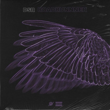 Roadrunner ft. DSR | Boomplay Music