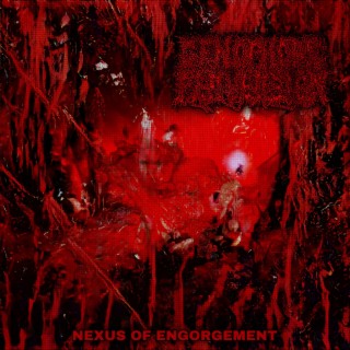 Nexus of Engorgement