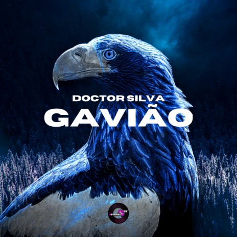 Gavião | Boomplay Music