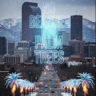 No Beaches No Palm Trees (TheHitmanHologram - Remix)