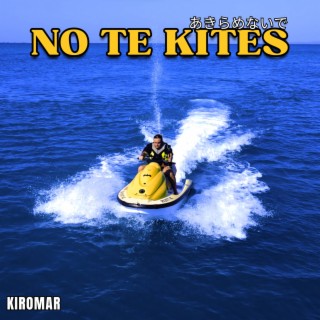 NO TE KITES lyrics | Boomplay Music