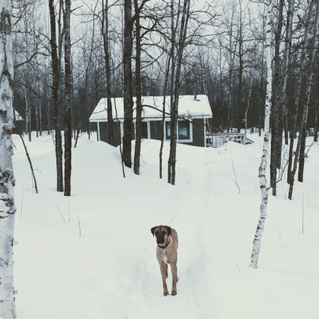 Two Harbors, MN | Boomplay Music