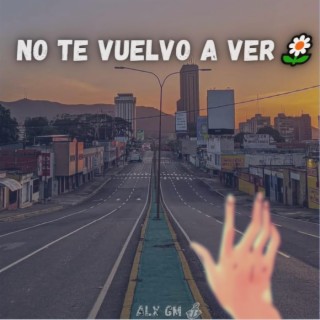 No te vuelvo a Ver