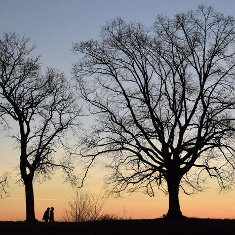 Love's Our Nature (The Wind Is Followed By The Rain) | Boomplay Music