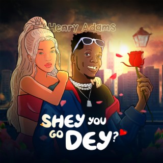 Shey You Go Dey lyrics | Boomplay Music