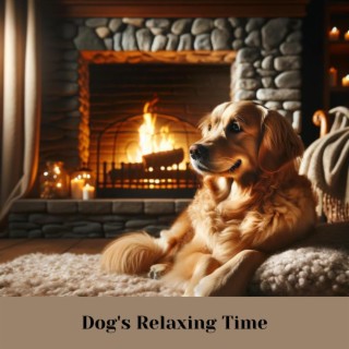 Dog's Relaxing Time