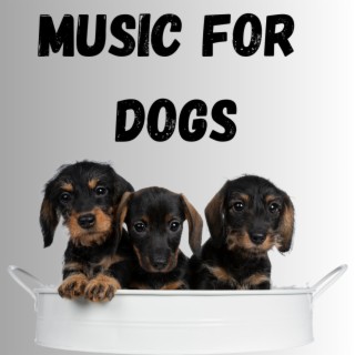 Music For Dogs (Vol.61)