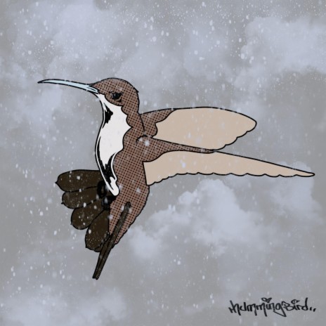 Hummingbird | Boomplay Music