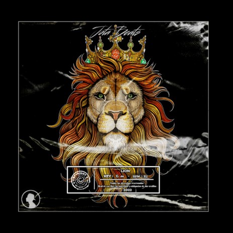 LION | Boomplay Music