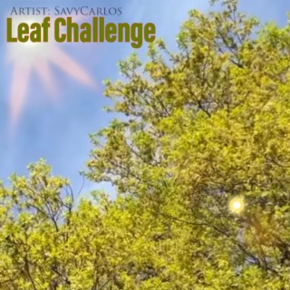 Leaf Challenge