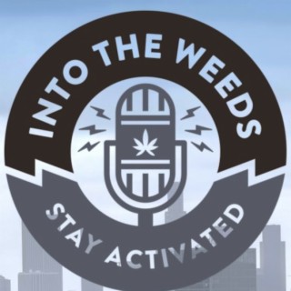ITW08:Tommy Chong Part 2 @getintotheweeds