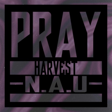 Pray (feat. N.A.U.) | Boomplay Music