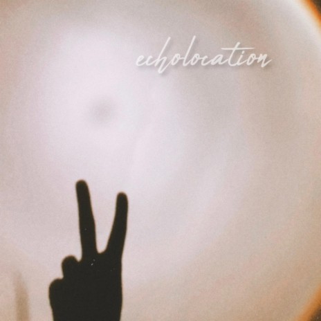 echolocation | Boomplay Music