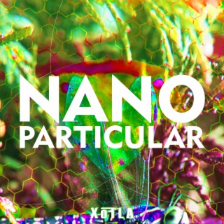 Nano Particular