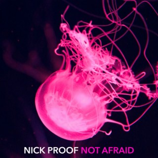 Nick Proof