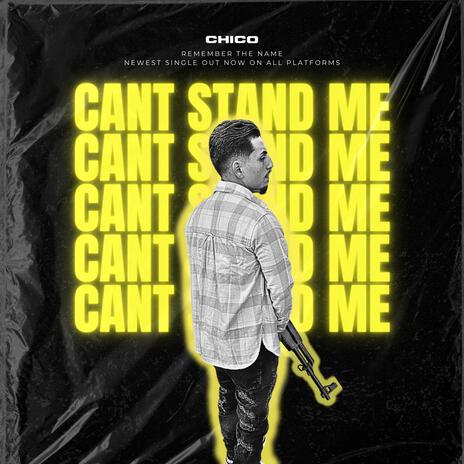 Cant Stand Me | Boomplay Music