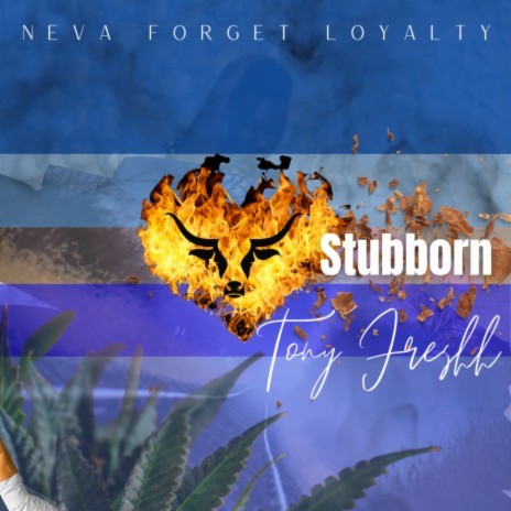 Stubborn | Boomplay Music