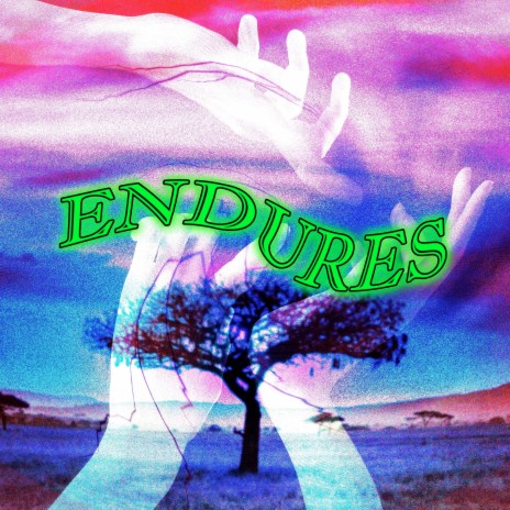 Endures | Boomplay Music