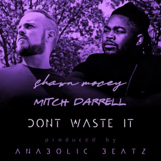 Don't Waste It ft. Mitch Darrell lyrics | Boomplay Music