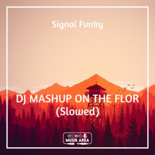 DJ MASHUP ON THE FLOR (Slowed)