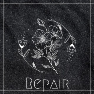 Repair