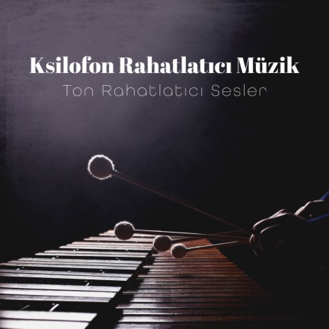 Ksilofon Rahatlatıcı Müzik ft. Gevşeme Meditasyon Akademisi