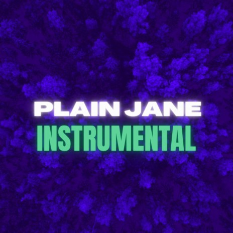 PLAIN JANE INSTRUMENTAL (SYCKA) | Boomplay Music